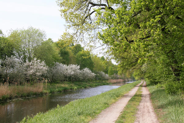 Bild vergrößern: Biosphrenreservat Drmling Sachsen-Anhalt Foto Gerhard Isenberg