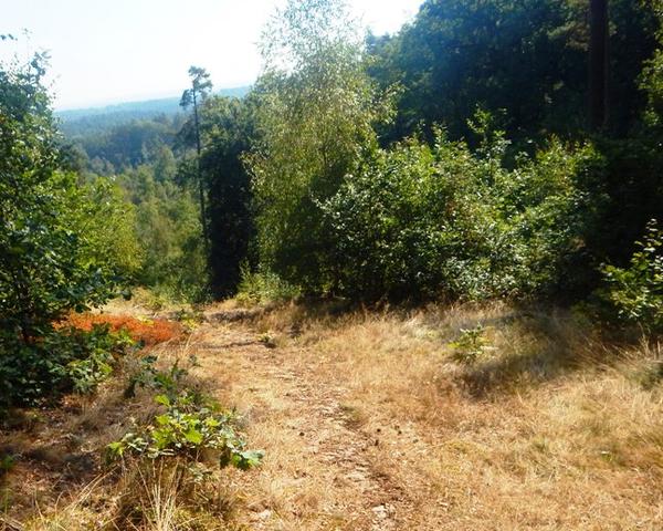 Bild vergrößern: Altmrkische Wandernester Auf Solbrigs Spuren Zichtau_Foto Sybille Meyer